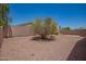 Large backyard featuring a low-maintenance landscape with gravel and greenery and block wall at 16264 W Pioneer St, Goodyear, AZ 85338