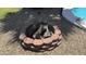 Cozy fire pit with red brick trim. Perfect for outdoor gathering and relaxing ambiance at 3109 E Cholla St, Phoenix, AZ 85028