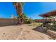Open backyard features tall palm trees, sparse foliage, and a wooden fence at 5101 W Purdue Ave, Glendale, AZ 85302