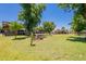 Expansive backyard with lush green grass and mature trees, perfect for outdoor activities and relaxation at 5127 W Dobbins Rd, Laveen, AZ 85339