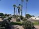 Landscaped street view featuring lush greenery, palm trees, and well-maintained shrubs and green grass at 6233 E Pinchot Ave, Scottsdale, AZ 85251