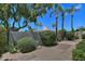 Desert landscape in backyard with shrubs, trees, and palm trees at 8120 E Cortez Dr, Scottsdale, AZ 85260