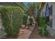 Backyard pathway with landscaping features and desert plants, enhancing the outdoor space at 8120 E Cortez Dr, Scottsdale, AZ 85260
