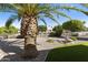 Lush backyard featuring palm trees, manicured foliage, decorative rock, and a charming rock fountain at 922 S Ember Cir, Mesa, AZ 85208
