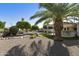 Beautifully landscaped backyard with palm trees, manicured foliage, decorative rock, and a covered patio at 922 S Ember Cir, Mesa, AZ 85208