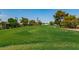 Lush golf course with mature trees and manicured greens, offering a serene and picturesque setting at 922 S Ember Cir, Mesa, AZ 85208