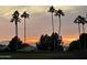 Scenic desert sunset with palm trees and mountain views providing a tranquil backdrop at 17293 N Ponca Way, Surprise, AZ 85374