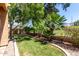 Well-kept backyard featuring manicured lawn, mature palms, and direct golf course access at 3041 E Fremont Rd, Phoenix, AZ 85042