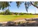 Scenic view overlooking the golf course with mature trees and mountain views at 3041 E Fremont Rd, Phoenix, AZ 85042