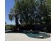 Inviting pool surrounded by lush desert landscaping, rock features, and mature palm trees for privacy at 33220 N 60Th Way, Scottsdale, AZ 85266