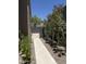 Landscaped side yard featuring a stone path, vibrant plants, and desert foliage for a peaceful outdoor area at 33220 N 60Th Way, Scottsdale, AZ 85266