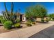 Stunning home featuring desert landscaping, unique cactus, and a mature shade tree at 4010 E Hamblin Dr, Phoenix, AZ 85050