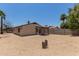 Backyard with a covered patio, desert landscaping, and a tall palm tree at 934 E Wahalla Ln, Phoenix, AZ 85024