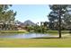 Picturesque backyard with lake views, mature trees, and a meticulously maintained lawn at 94 Biltmore Estates Dr, Phoenix, AZ 85016
