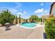 Sparkling pool is surrounded by a stone patio, a lush lawn and desert landscaping at 23090 S 201St St, Queen Creek, AZ 85142