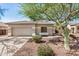 Home exterior featuring neutral paint, tile roof, desert landscaping, and shade tree at 13020 W Highland Ave, Litchfield Park, AZ 85340