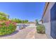 Backyard featuring desert landscaping and mature shrubbery at 14039 S 33Rd Way, Phoenix, AZ 85044