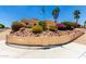 Corner lot featuring a well-maintained yard with colorful flowering bushes and desert landscaping at 15630 N 20Th St, Phoenix, AZ 85022