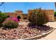 Landscaped front yard featuring decorative stone and lush bushes with vibrant pink flowers at 15630 N 20Th St, Phoenix, AZ 85022