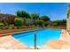 The backyard features a sparkling swimming pool and lush landscaping, perfect for relaxation and outdoor enjoyment at 15630 N 20Th St, Phoenix, AZ 85022