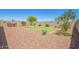 Private backyard featuring a well-maintained lawn, mature plants, and gravel landscaping at 17352 W Red Fox Rd, Surprise, AZ 85387
