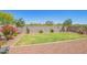 Serene backyard with lush green grass, colorful flowers, and well-manicured landscaping at 17352 W Red Fox Rd, Surprise, AZ 85387