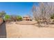 Spacious backyard with a circular feature, mature trees, and a two-story home in the background at 20277 N 68Th Dr, Glendale, AZ 85308