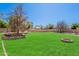 Well maintained backyard features green grass, flower beds, and stone accents at 20277 N 68Th Dr, Glendale, AZ 85308