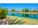 Scenic pond featuring a fountain, lush greenery, and ducks enjoying the water at 20277 N 68Th Dr, Glendale, AZ 85308