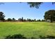 Expansive greenspace with lush grass and mature trees in neighborhood at 3033 W Tierra Buena Ln, Phoenix, AZ 85053