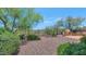 Scenic backyard with mature desert landscaping and an outdoor kitchen with a custom pizza oven at 42122 N Anthem Springs Rd, Anthem, AZ 85086