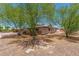Home with desert landscaping and mature trees in the backyard at 4501 N 60Th Ave, Phoenix, AZ 85033