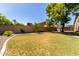 Expansive backyard features lush green grass, desert landscaping and ample space for outdoor activities and relaxation at 557 S Lemon Ct, Gilbert, AZ 85296