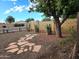 Inviting front yard featuring desert landscaping, a flagstone walkway, and mature trees at 5801 N 73Rd Ave, Glendale, AZ 85303