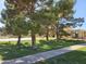 Beautiful view of a well-maintained sidewalk, mature trees, and a peek of the community building at 5813 W Gelding Dr, Glendale, AZ 85306