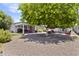 Expansive backyard with mature shade trees, providing a serene and private outdoor retreat at 6263 E Duncan St, Mesa, AZ 85205