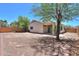 A spacious backyard under a bright blue sky, with a mature tree providing shade at 1336 E Laurel Pl, Casa Grande, AZ 85122