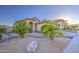 Charming single-story home featuring desert landscaping with decorative rocks and mature palm trees at 1409 E Goldenrod St, Phoenix, AZ 85048