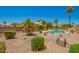 Well-maintained backyard with mature palms, drought-resistant plants, pool and stone features at 2409 S Chestnut Pl, Chandler, AZ 85286