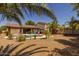 Backyard showcasing beautiful pool, desert landscaping, colorful chairs, and lush palms at 2990 N Pearl Ct, Casa Grande, AZ 85122