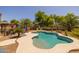 Backyard pool featuring a unique shape, concrete surround, and mature landscaping at 2990 N Pearl Ct, Casa Grande, AZ 85122