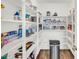 Walk-in pantry with white shelving and wood-look flooring offers ample storage space at 38771 N Dena Dr, San Tan Valley, AZ 85140