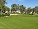 Spacious community park featuring a volleyball court and lush green grass, ideal for outdoor activities at 4332 E Oakland St, Gilbert, AZ 85295