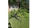 The backyard features a citrus tree on a well-maintained lawn at 4710 N 33Rd Pl, Phoenix, AZ 85018