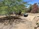 An outdoor backyard featuring a small tree casting a shadow on the ground and lush, colorful bushes in the background at 2719 W Carter Dr, Tempe, AZ 85282