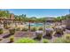 Beautifully landscaped community pool area with seating and shade at 2725 E Mine Creek Rd # 2146, Phoenix, AZ 85024