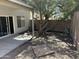 Backyard area with a covered patio, shade tree, desert landscaping, and block wall at 3428 E Renee Dr, Phoenix, AZ 85050