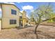 Backyard featuring desert landscaping, a covered patio, and mature tree at 3855 W Denver St, Chandler, AZ 85226