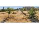 Spacious backyard featuring young trees planted in rows, ideal for creating an orchard or garden oasis at 856 W Quail Cir, San Tan Valley, AZ 85143