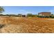 View of custom chicken coop structure providing secure, outdoor space for raising poultry in a backyard setting at 856 W Quail Cir, San Tan Valley, AZ 85143